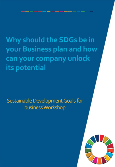 Sustainable Development Goals workshop brochure
